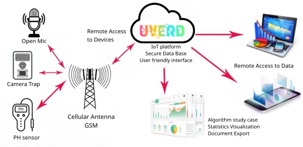 Diagram of the UVERD sensor and gateway architecture